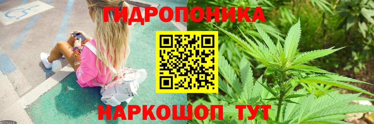 Шишки марихуана марихуана Казань