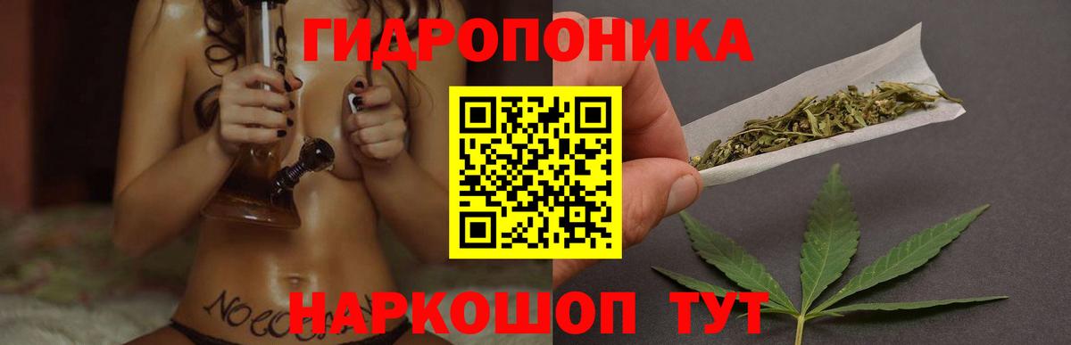 Бошки марихуана гибрид  Шишки марихуана марихуана  Вход с VPN  Канабис сатива  Марихуана марихуана  Казань 